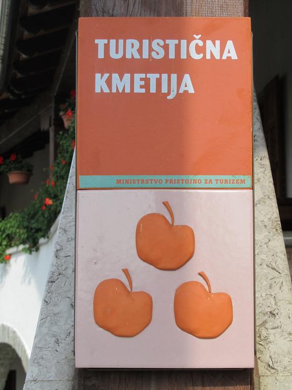 Вилла Arkade Turizem Crnice Экстерьер фото